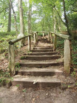 Trap Bos 50x70cm Tuinschilderij Customize-it - Customize it Trap Bos 50x70cm Tuinschilderij Customize-it - Customize it