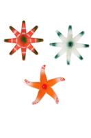 Haarspeld zeester - thumbnail