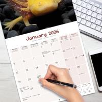 Axoloths Kalender 2026 - thumbnail