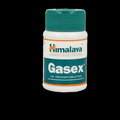 Holisan Gasex 100 Tabletten Holisan Gasex 100 Tabletten
