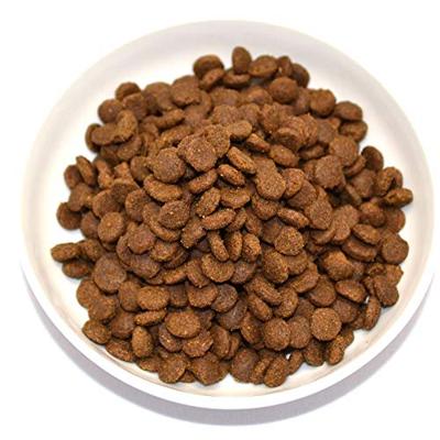 N&D PUMPKIN CAT DUCK & CANTALOUPE ADULT 300 GR