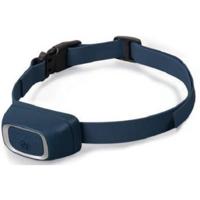 PetSafe anti blafband PBC19-16001 PetSafe Gebr. de Boon - Gebr de boon - thumbnail