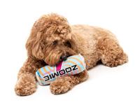 Fuzzyard zoomie energy drink pluche - thumbnail