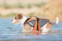 JK9®Multivest - Maat S - thumbnail