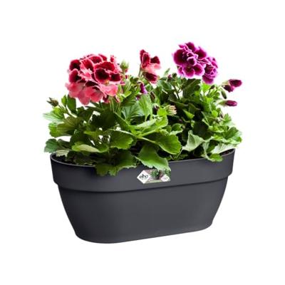 Elho vibia campana wall basket 35 antraciet