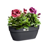 Elho vibia campana wall basket 35 antraciet - thumbnail