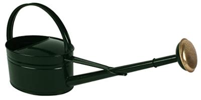 Talen Tools Gieter 5 liter Ovaal Metaal Groen