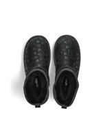 Ara 1229921 - alle - thumbnail