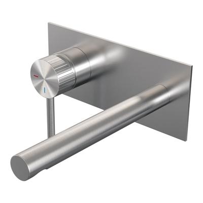 BRAUER Stripe Inbouw Wastafelmengkraan - rechte uitloop en afdekplaat - model A2 - RVS-kleurig geborsteld PVD 5-NG-334