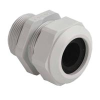 Kaiser Elektro 1571.11.120 Wartel PG11 Kunststof Lichtgrijs 1 stuk(s) - thumbnail