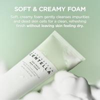 SKIN1004 Madagascar Centella Tea-Trica BHA Foam 125ml - thumbnail
