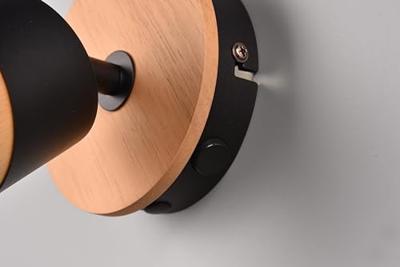 Trio Plafondlamp hout met zwartAruni - 801170132