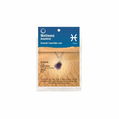 Ruben Robijn Sterrenbeeldhanger vissen (1 st)