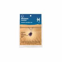 Ruben Robijn Sterrenbeeldhanger vissen (1 st) - thumbnail