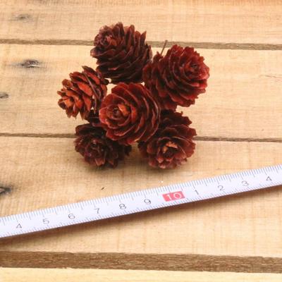 Bonbon doosjes - Chocolade doosje - Deko kerst dennenappels naturel - 1 stuks