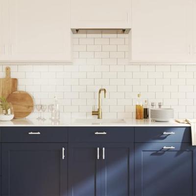 VidaXL Handvatten 10 st 64 mm roestvrij staal zilverkleurig