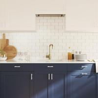 VidaXL Handvatten 10 st 64 mm roestvrij staal zilverkleurig - thumbnail