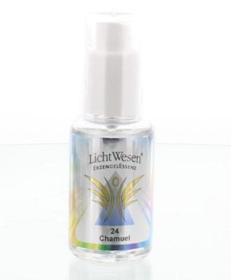 Lichtwesen Chamuel tinctuur 24 30 Milliliter