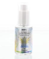 Lichtwesen Chamuel tinctuur 24 30 Milliliter - thumbnail