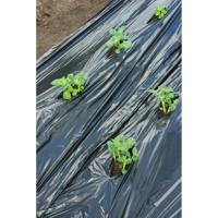 Nature kweekfolie aardappelen zwart 0.95x10 m - thumbnail