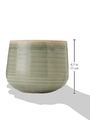Pot iris mint bloempot binnen 18 cm