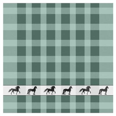 DDDDD DDDDD theedoek shanti 60x65 green