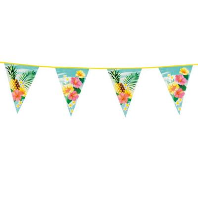 Vlaggenlijn Paradise (6 m)