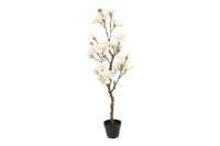 Decostar Magnolia XL plant 110 cm wit - thumbnail