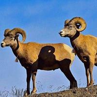 Ducky One 3 Mist Grey toetsenbord - thumbnail