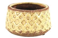 Schaal Rosana S geel - thumbnail