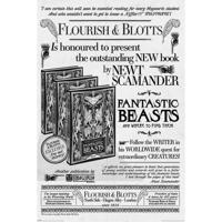 Poster Fantastic Beasts - the Crimes of Grindelwald Flourish and Blotts 61x91,5cm - thumbnail