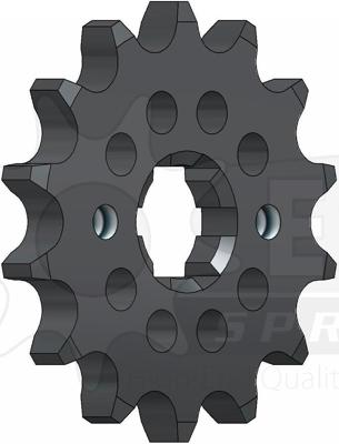 ESJOT Sprocket 428 14z racing
