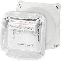 Hensel DK 0606 G Aftakkast (l x b x h) 77 x 130 x 130 mm Grijs-wit (RAL 7035) IP66 1 stuk(s) - thumbnail