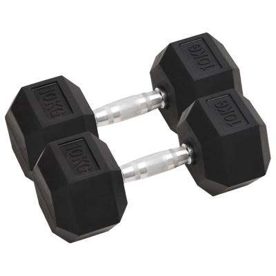 VidaXL Halters 2 st 20 kg totaal gietijzer