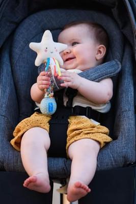 Star rainstick rattle