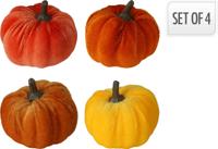 Pompoen Set Velvet 5,5cm 4st - thumbnail