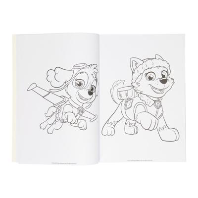 Wins Holland Kleurboek paw patrol, 128blz.