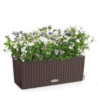 Jardiniere - Balconera cottage 50 - Complete kit - Moka - 8 L - LECHUZA - thumbnail