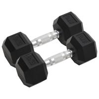 VidaXL Halters 2 st 16 kg totaal gietijzer - thumbnail