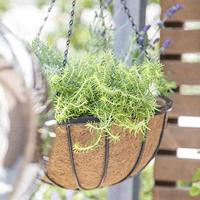 Siena Garden Wrought J58085 Hangende plantenmand Staal, Kokos Zwart, Natuur - thumbnail