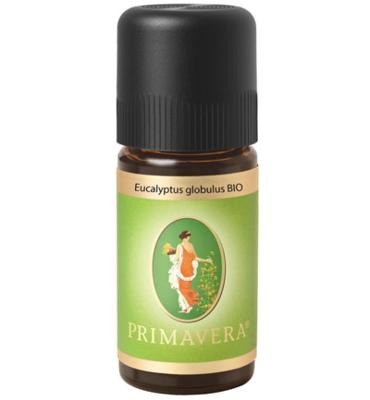 Primavera Eucalyptus globulus bio 10 Milliliter