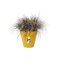 Elho loft urban round 20 ochre - thumbnail