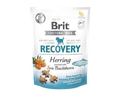 VAFO PRAHA s.r.o. BRIT Dog Snacks 150G Snack Recovery Thorn