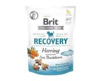 VAFO PRAHA s.r.o. BRIT Dog Snacks 150G Snack Recovery Thorn - thumbnail