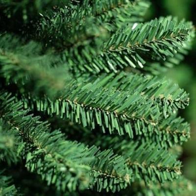 Kunstkerstboom Pencil pine h180 cm dia 55 cm extra smal groen Everlands - Everlands Kunstkerstboom Pencil pine h180 cm dia 55 cm extra smal groen Everlands - Everlands