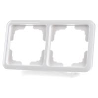 Siemens 5TG1802 Tussenframe 2-voudig Delta Wit Schakelmateriaal 1 stuk(s) - thumbnail