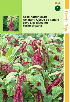 Zaden Amaranthus Rode Kattenstaart Hortitops - Hortitops