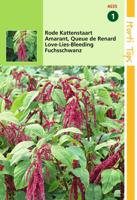 Zaden Amaranthus Rode Kattenstaart Hortitops - Hortitops - thumbnail