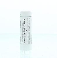 Homeoden Heel Echinacea angustifolia D6 6 Gram - thumbnail