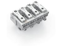 WAGO 294-8024 WAGO GmbH & Co. KG Netaansluitingsklem Flexibel: - Massief: 0.5-2.5 mm² Aantal polen: 4 500 stuk(s) Wit - thumbnail